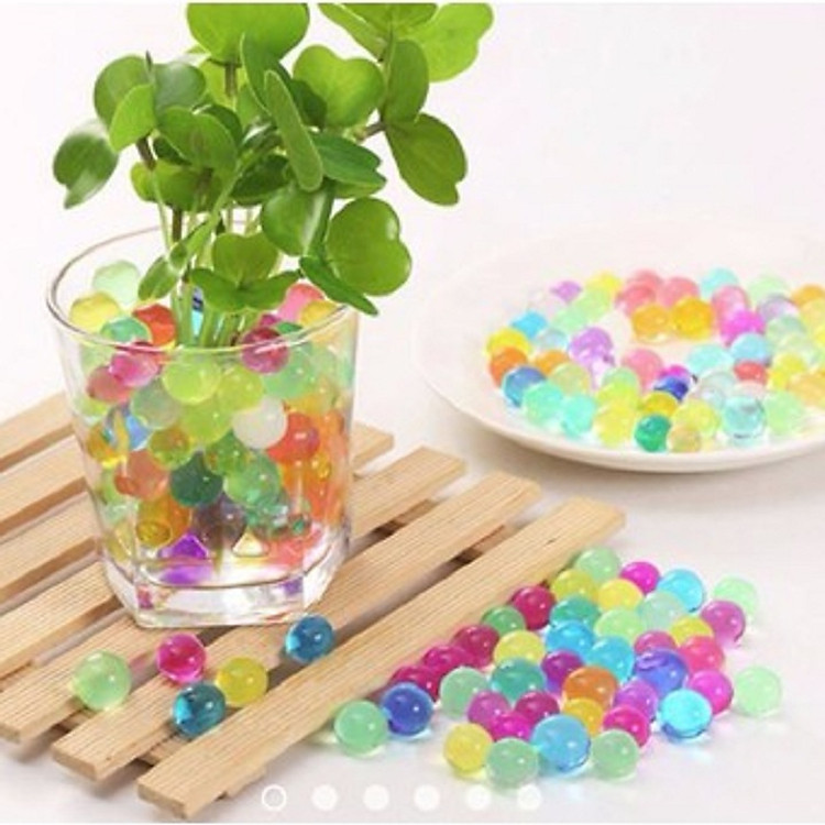 10 Gói hạt trồng cây tinh thể không cần đất