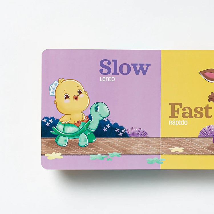 Opposites: Canticos Bilingual Firsts - Ảnh 5