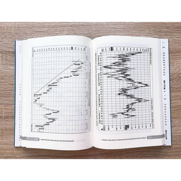 Khám Phá Nghệ Thuật Giao Dịch Tiền Tệ Chuyên Nghiệp - Ảnh 3