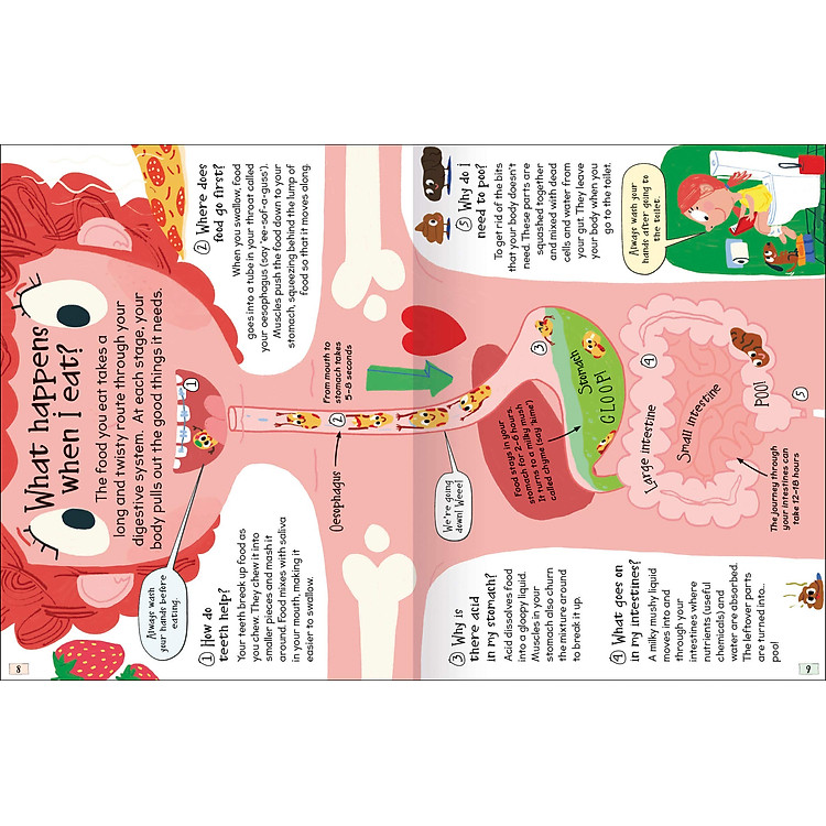 Curious Questions & Answers About My Body - Ảnh 6