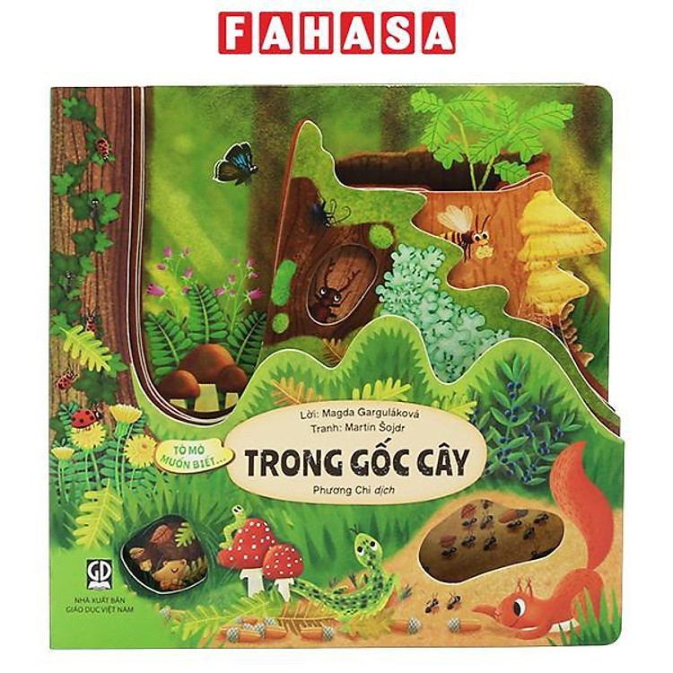 Sách - Sách Tò Mò Muốn Biết... - Trong Bóng Đêm/Trong Tổ Kiến/Dưới Lòng Đất/ Trên Sa Mạc /...- Bìa Cứng