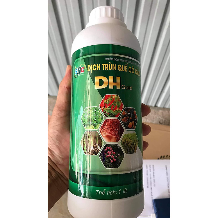 Dịch trùn quế DH Gold