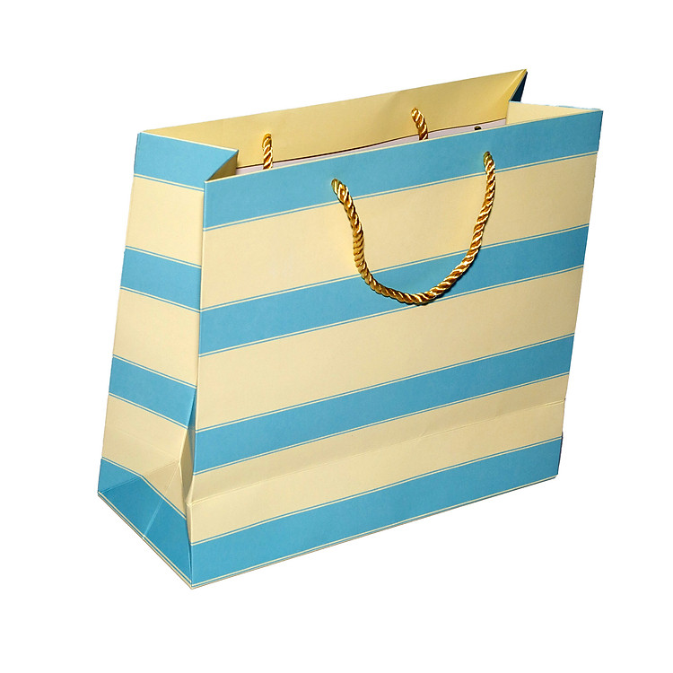 Túi Dây Ngang Lớn TN010 (27 x 30 x 12 cm) - Ảnh 4