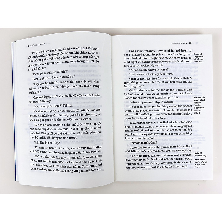 Không Gia Đình (Phiên Bản Song Ngữ Anh-Việt Có File Nghe Audio) - Ảnh 4