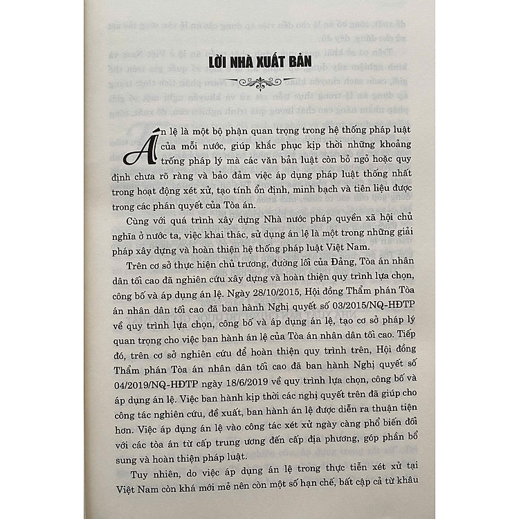 Án Lệ Việt Nam - Ảnh 3