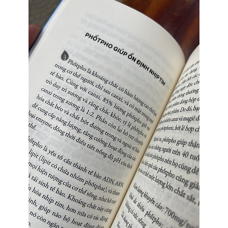 VITAMIN VÀ KHOÁNG CHẤT (Tái bản 2022) - Ảnh 4