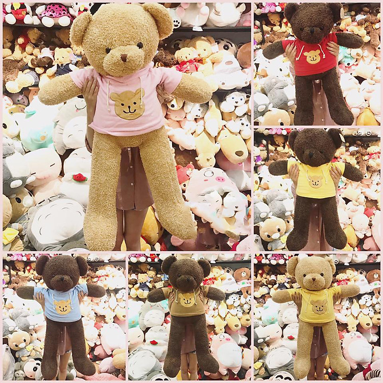 Gấu Bông Teddy áo Hoodie big size (Màu ngẫu nhiên) 30cm