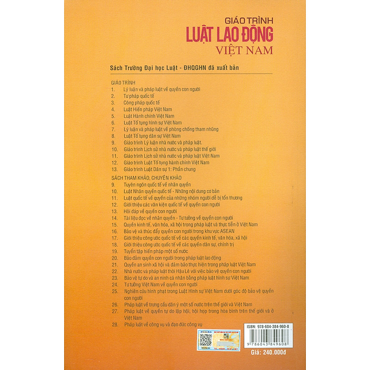 Giáo Trình Luật Lao Động Việt Nam - Ảnh 2