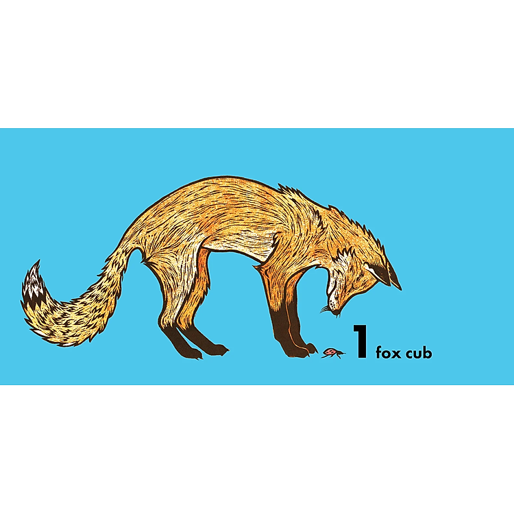 How Much Does A Ladybird Weigh? - Ảnh 5