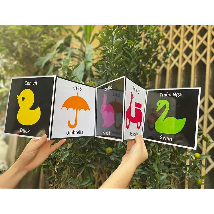 Thẻ kích thích thị giác cho trẻ sơ sinh Chính hãng Tiết kiệm - Hình ảnh 3