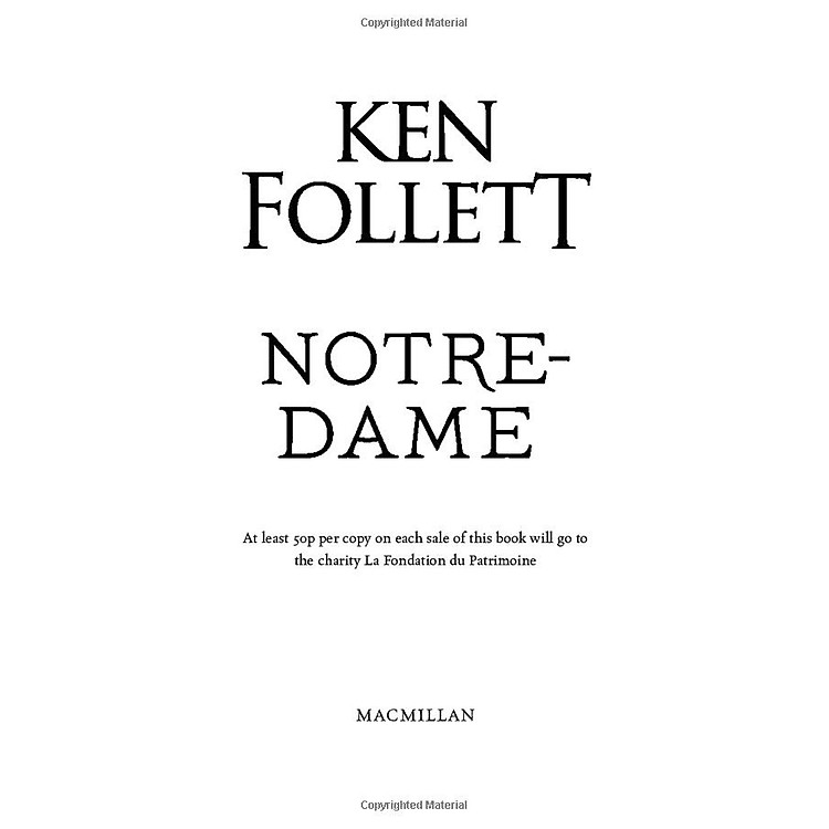 Notre-Dame: A Short History Of The Meaning Of Cathedrals - Ảnh 6