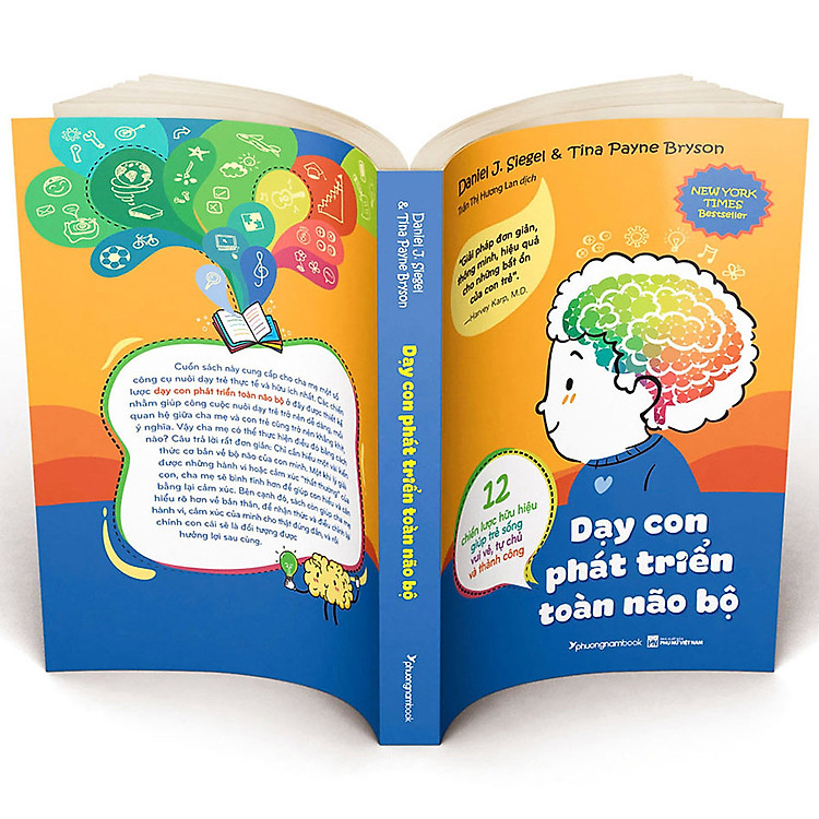Dạy Con Phát Triển Toàn Não Bộ - Ảnh 3