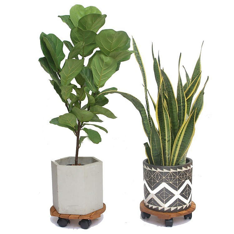 Combo 2 đế để chậu cây có bánh xe