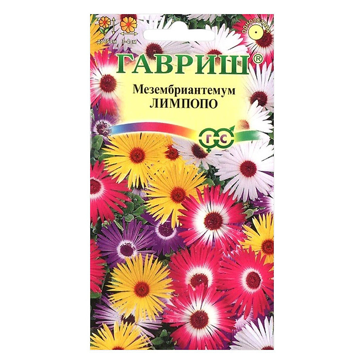 Hạt Giống Cúc Cầu Vòng Gavrish (0.1g)