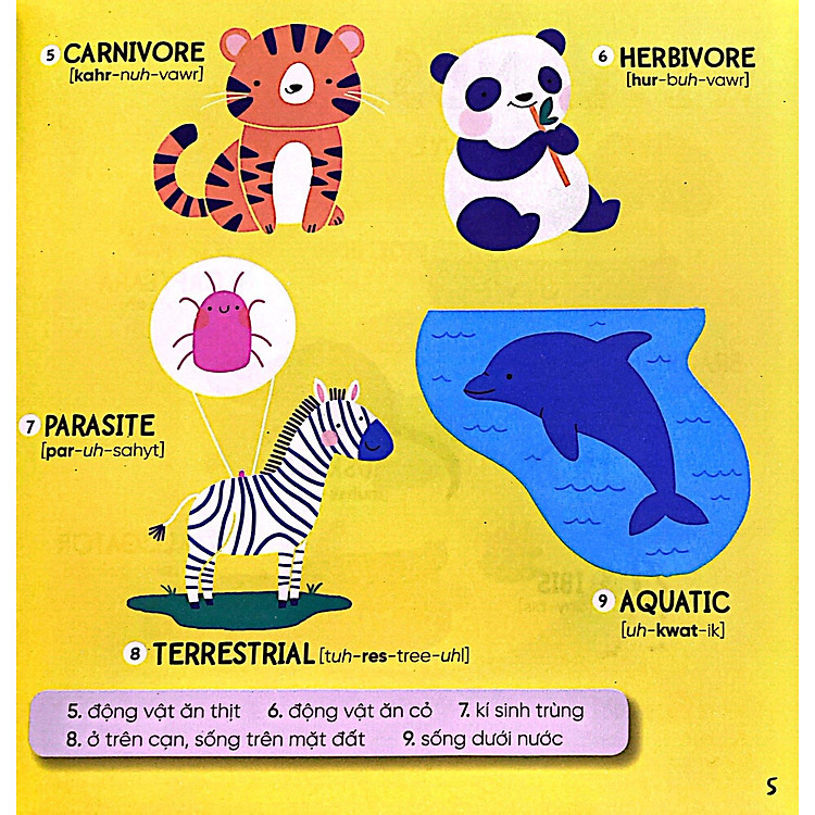 Steam Words Nature - Từ Vựng Về Tự Nhiên - Ảnh 5