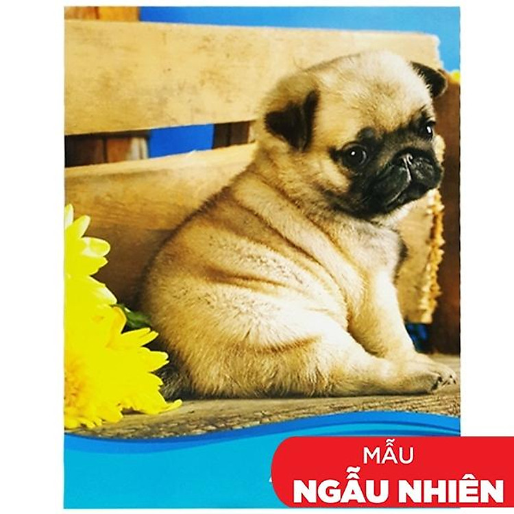 Tập 4 Ly Ngang 200 Trang ĐL 60g/m2