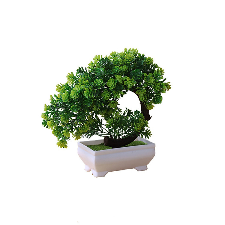 Chậu Cây Bonsai Mini Dáng Lá Độc Đáo Để Bàn Xinh Xắn - Hoa Giả, Cây Giả