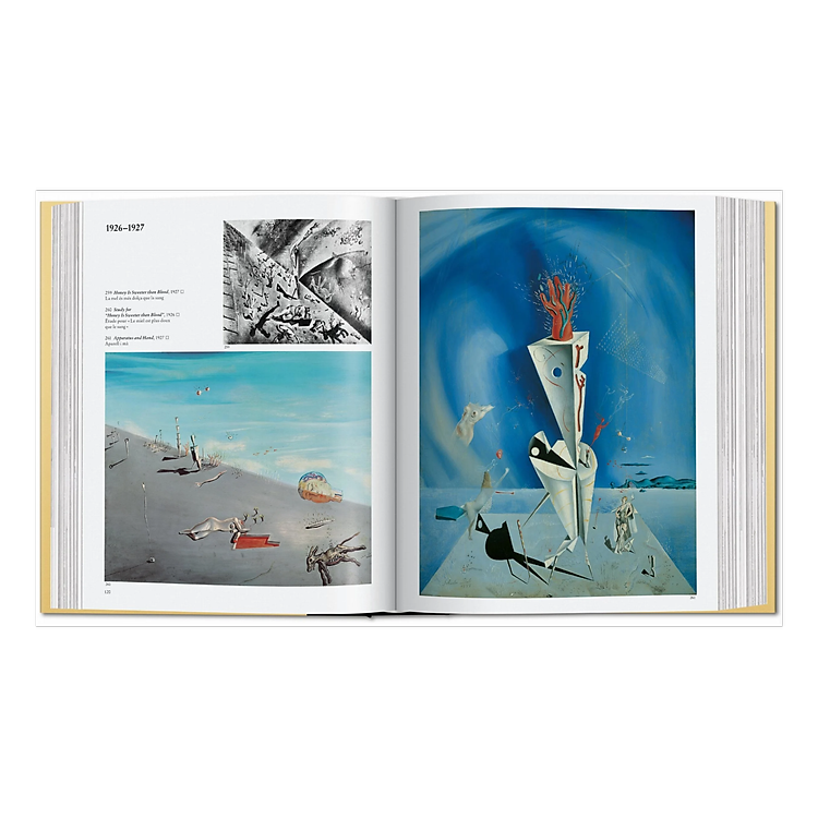 Dalí: The Paintings - Ảnh 2