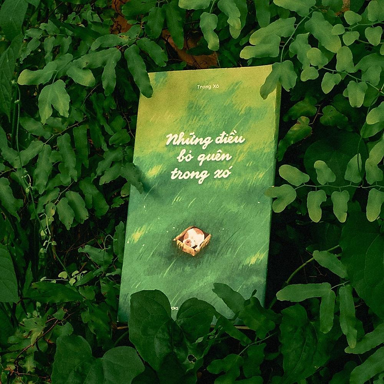 Những Điều Bỏ Quên Trong Xó - Ảnh 5