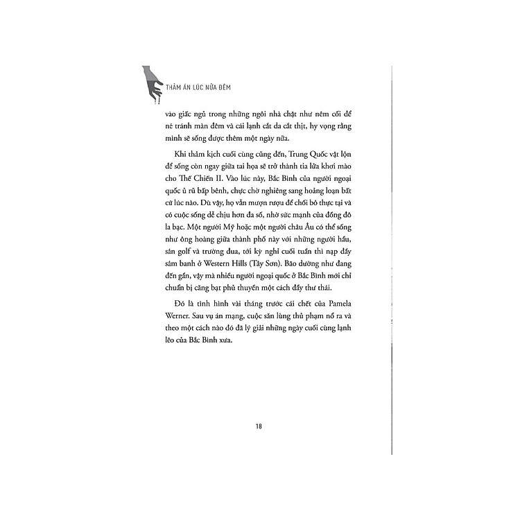 Thảm Án Lúc Nửa Đêm - Ảnh 3