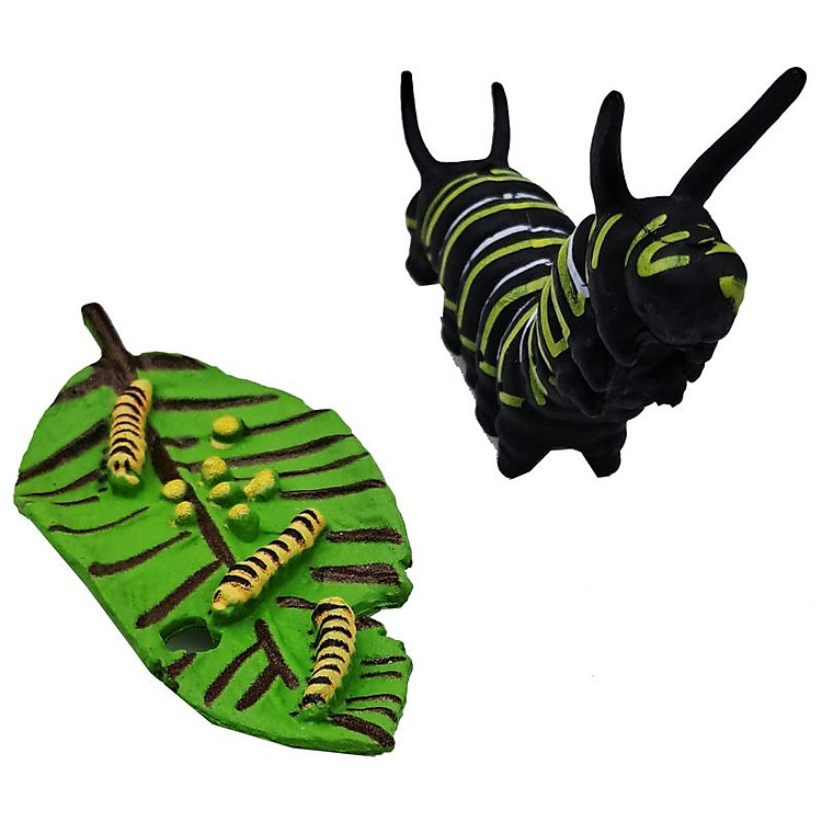 Mua Đồ Chơi Mô Hình Bướm - Firstar DK81253 Chính hãng Tiết kiệm - Hình ảnh 5