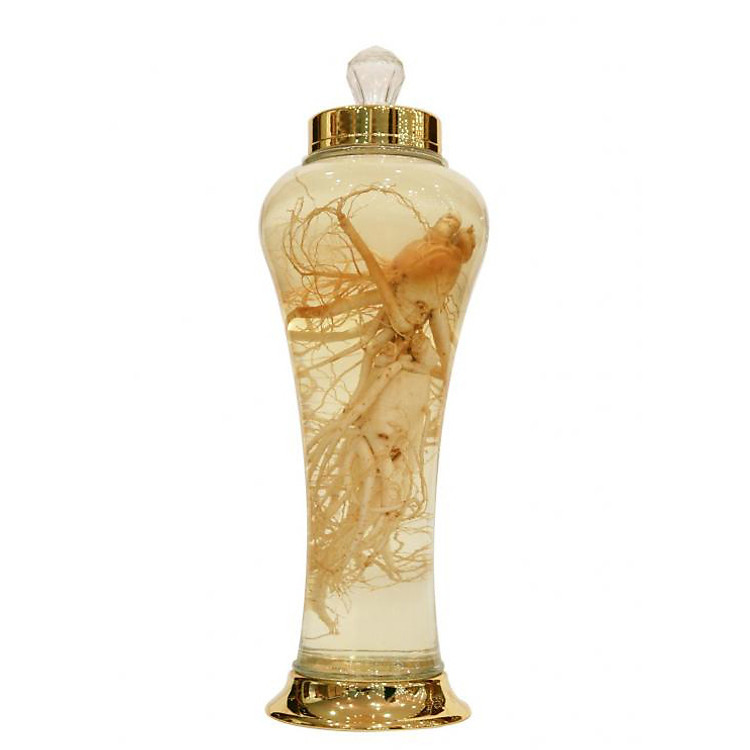 Bình Thủy Tinh Ngâm Rượu Sâm Hàn Quốc 3L - Bình Hình Củ Sâm