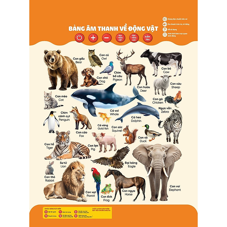Bảng Âm Thanh Về Động Vật