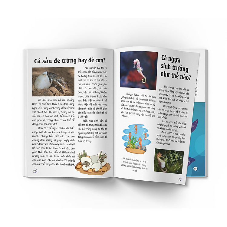 Siêu nhí biết tuốt! 101 Bí ẩn về Thế giới Động vật - Ảnh 2