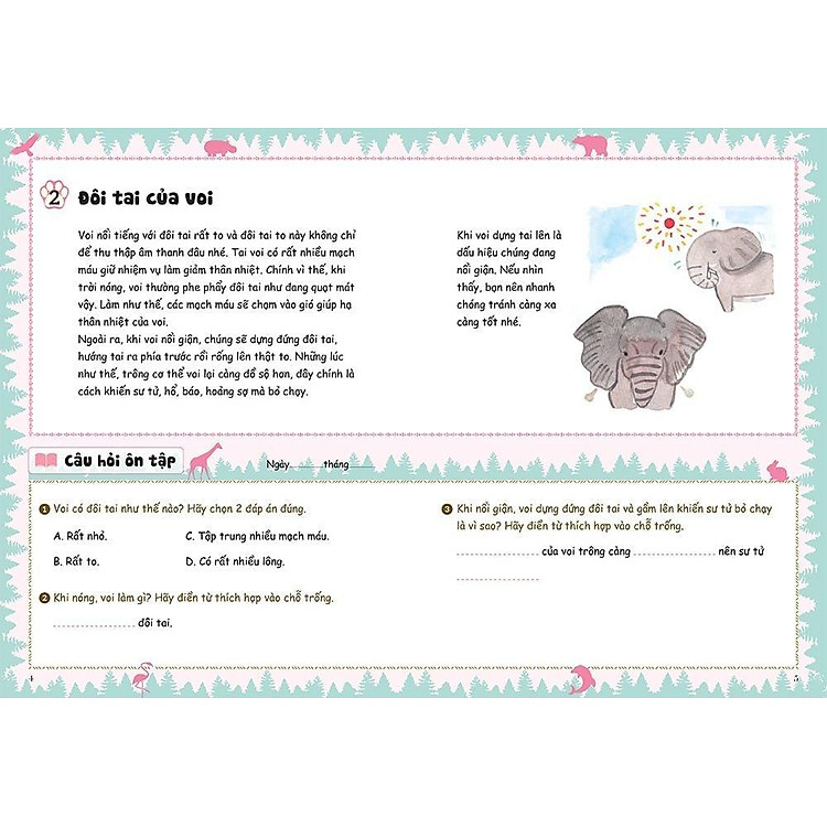 Bồi Dưỡng Kĩ Năng Đọc Hiểu Cho Học Sinh Tiểu Học - Ảnh 7