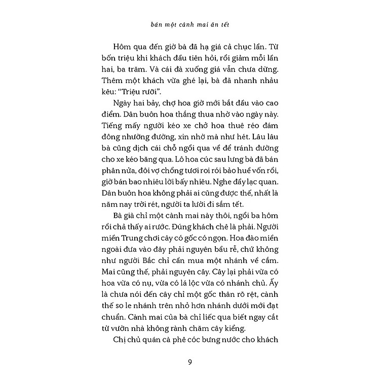 Bán một cành mai ăn tết - Ảnh 5