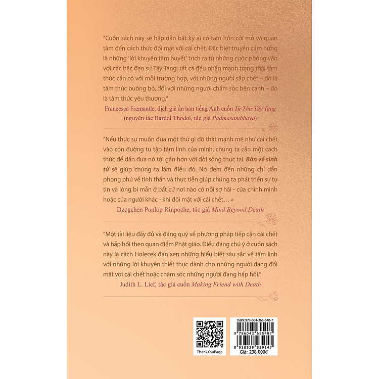 Bàn Về Sinh Tử và Chữa Lành Bằng Năng Lượng - Ảnh 2