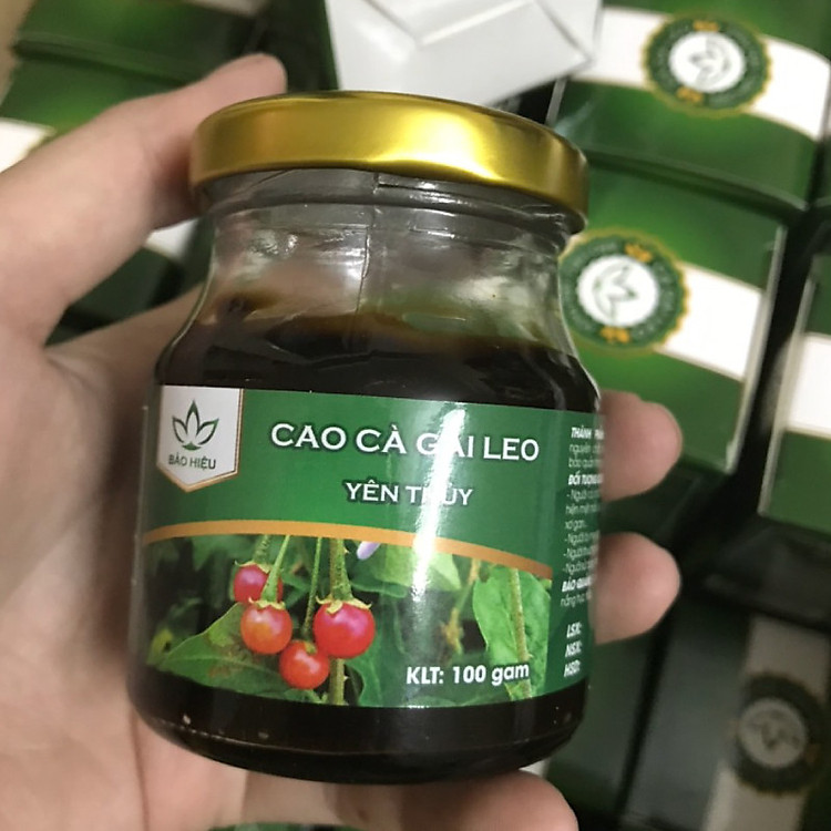 Cao Cà gai leo Yên Thủy - Giải độc, Mát gan 100g
