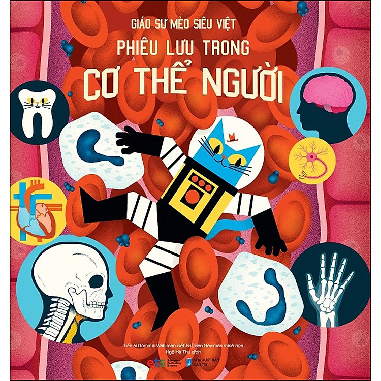 Giáo Sư Mèo Siêu Việt - Ảnh 2