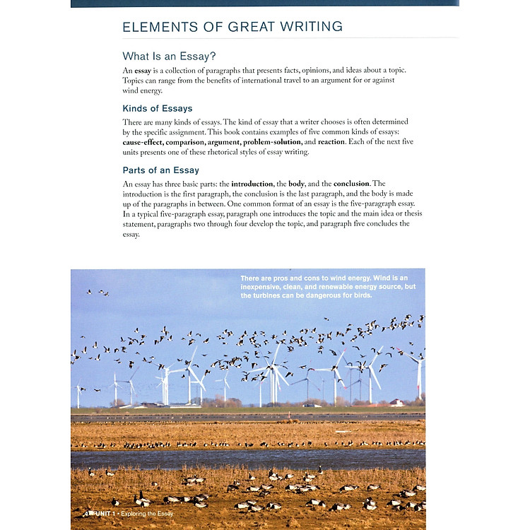 Great Writing 4 - Student's Book - Ảnh 5