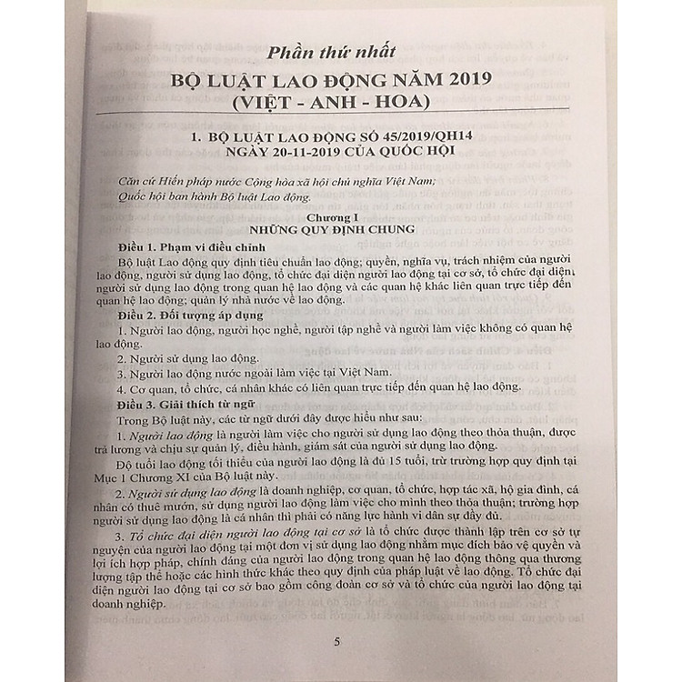Bộ Luật Lao Động - Labor Code - Chính Sách Tăng Lương, Hệ Thống Thang Bảng Lương 2020 - Ảnh 2