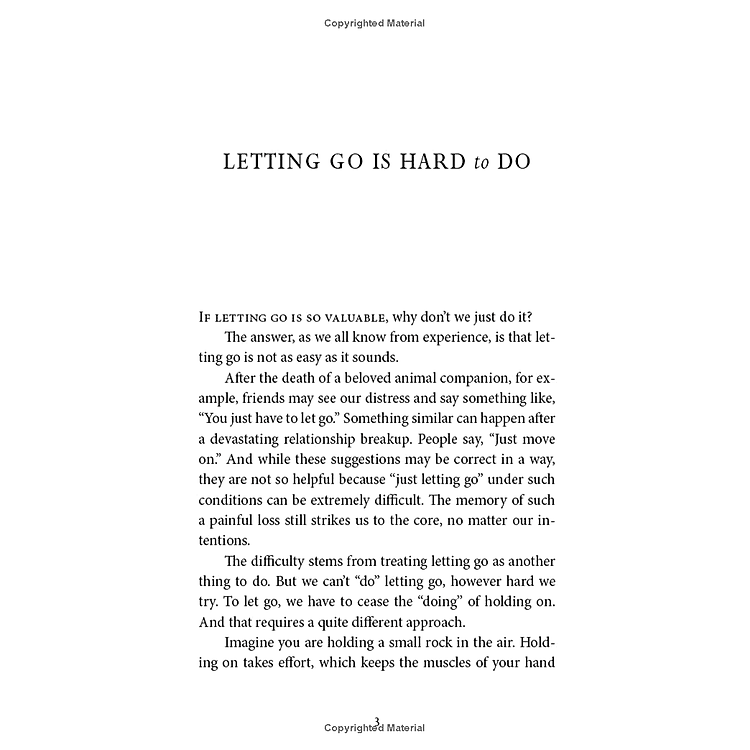 Letting Go Of Nothing: Relax Your Mind And Discover The Wonder Of Your True Nature (An Eckhart Tolle Edition) - Ảnh 3