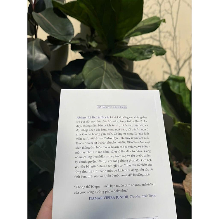 Những Thủ Lĩnh Triền Cát - Ảnh 5