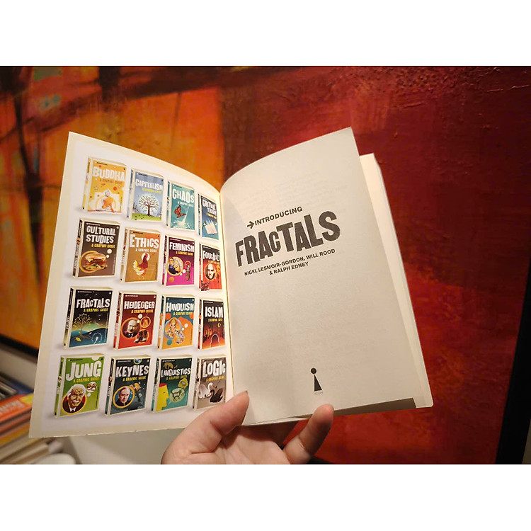 Introducing Fractals: A Graphic Guide - Ảnh 5