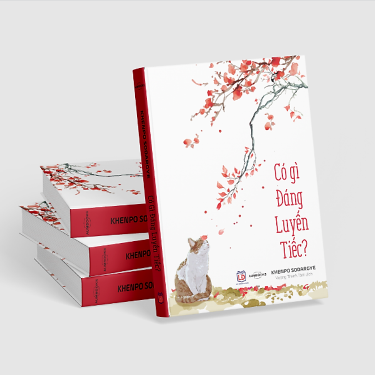 CÓ GÌ ĐÁNG LUYẾN TIẾC? - Khenpo Sodargye - Vương Thanh Tâm dịch - Achaubooks – NXB Lao Động