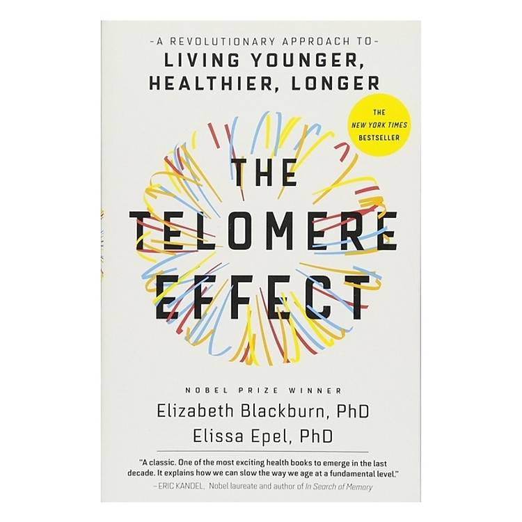 The Telomere Effect
