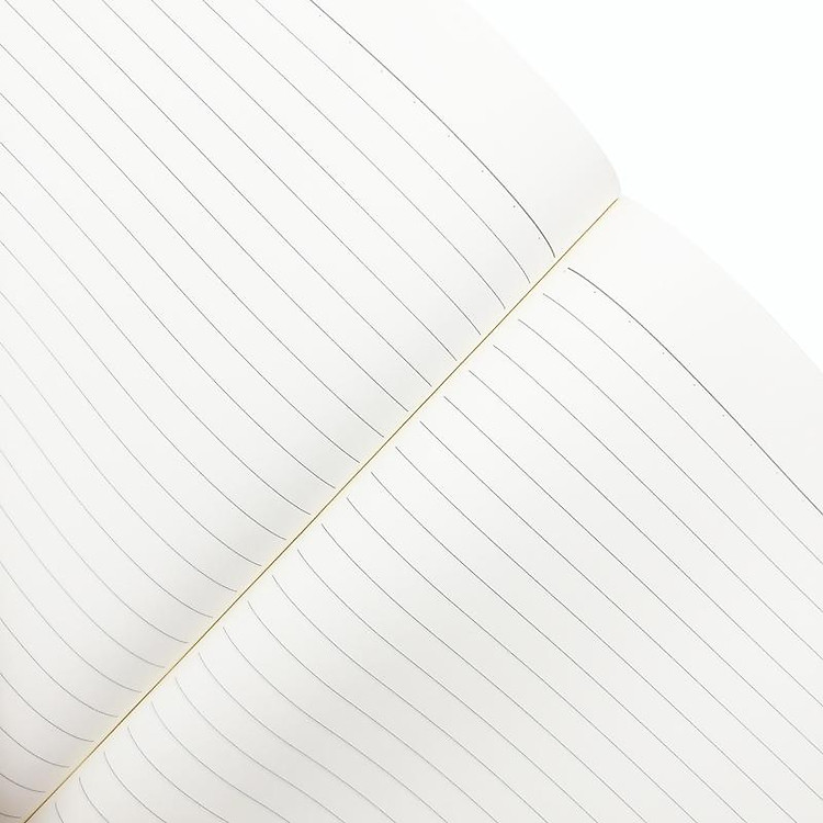 Sổ Sinh Viên Hình Khung Ảnh Morning Glory 10300-88599 - Ảnh 5