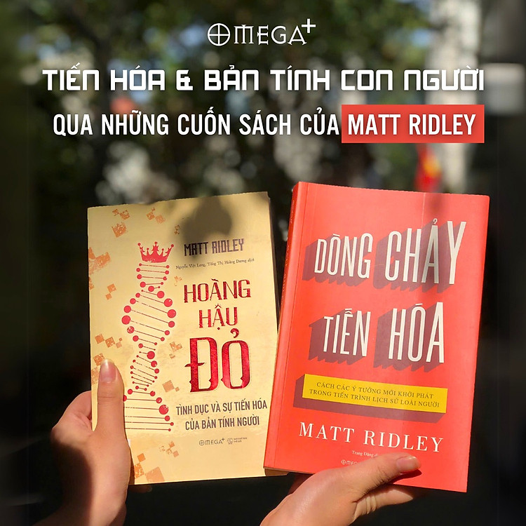 Dòng Chảy Tiến Hóa - Cách Các Ý Tưởng Mới Khởi Phát Trong Tiến Trình Lịch Sử Loài Người - Ảnh 3