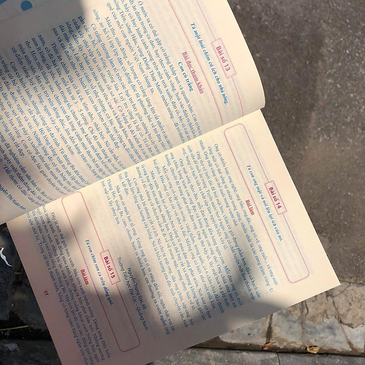 Tuyển Chọn Những Bài Văn Miêu Tả Lớp 4 - Ảnh 6