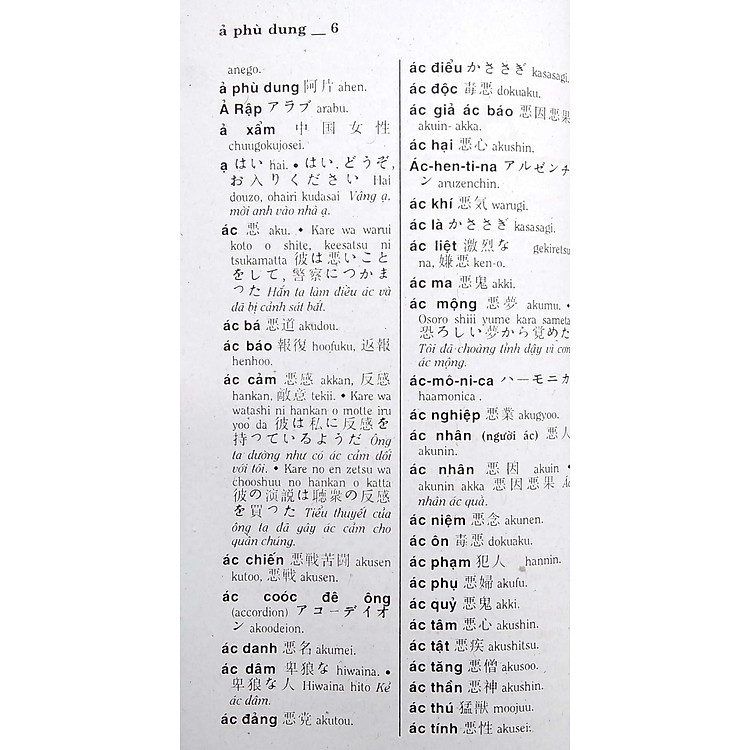 Từ Điển Việt - Nhật - Ảnh 3