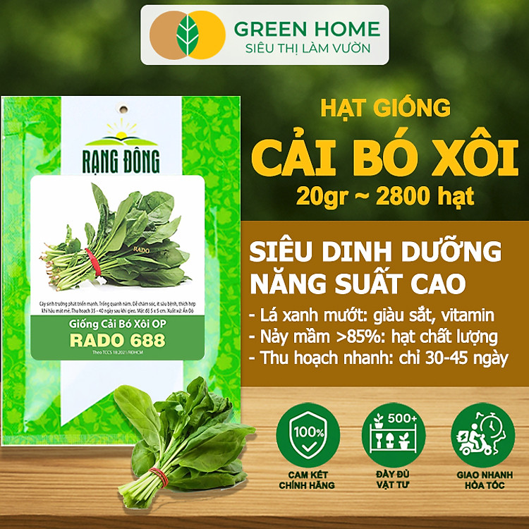 Hạt Giống Rau Cải Bó Xôi GreenHome, Gói 20g~2800 hạt, Dễ Trồng Nảy Mầm Cao, Năng Suất Cao R07