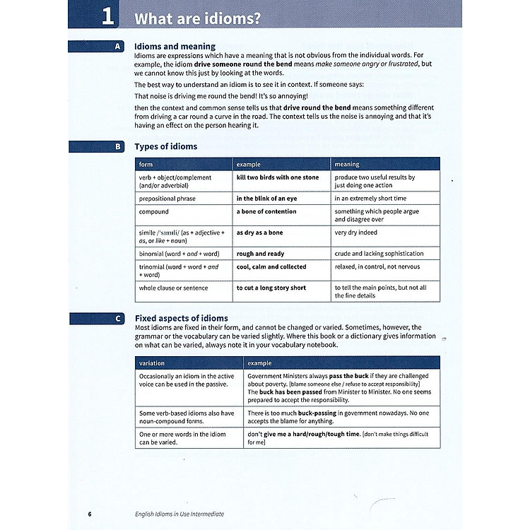 English Idioms in Use Intermediate Book With Answers - Ảnh 7