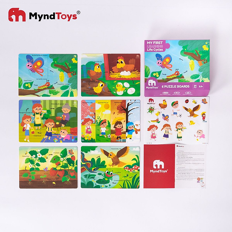 Mua Đồ Chơi Giáo Dục Myndtoys - Life Cycles Chính hãng Giá rẻ - Hình ảnh 4