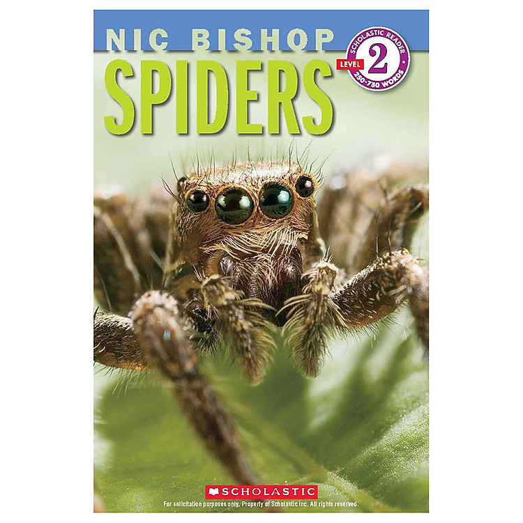 Sách Scholastic Reader Level 2: Spiders