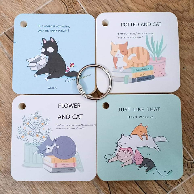 FLASHCARD HỌC TỪ VỰNG