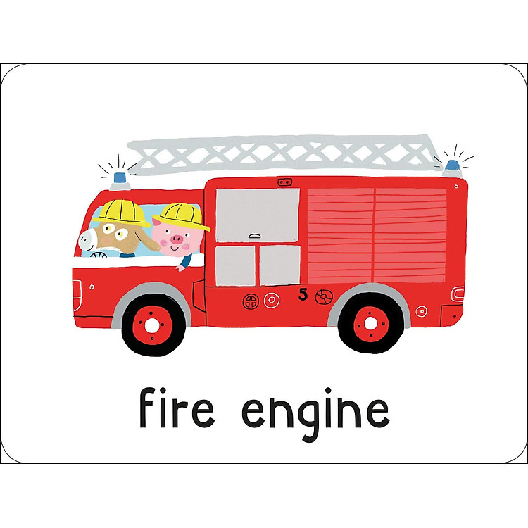 Lots To Spot Flashcards: On The Go! - Ảnh 5